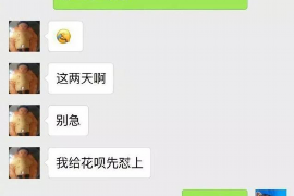 肥城融资清欠服务